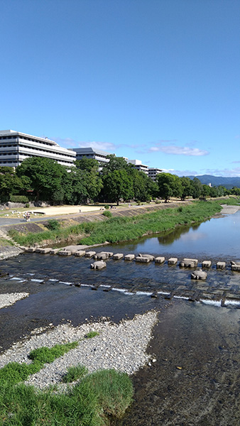 夏の鴨川